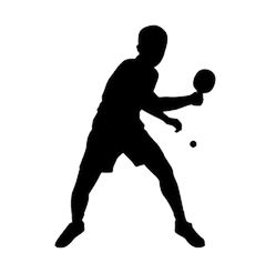 t2_tt_icon1