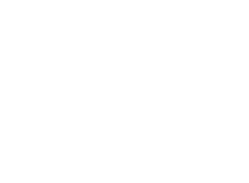 t2_icon_bus_white